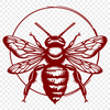 Bee Vector Craft File In SVG, PNG, PDF And DXF File Formats