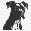 Boxer Vector Image In PNG & SVG - Free Digital Download