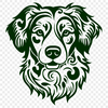 Beautiful Australian Shepherd PNGs - Free Download