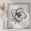 Stunning Hibiscus PNG - Free Commercial Use Download