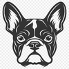 Unique French Bulldog Vector Drawing