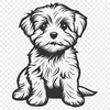 Artistic Havanese Illustration