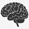 Beautiful Brain In SVG, PNG, PDF And DXF File Formats - Free