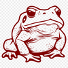 Beautiful Toad Design