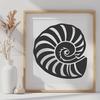 Seashell Illustration In SVG, PNG, PDF And DXF File Formats