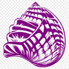 Creative Seashell Design In PNG For Free Download