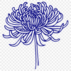 Stunning Flower Clipart