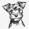 Free Miniature Schnauzer Vector Drawing - Free SVG