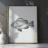 Unique Fish - Sublimation PNG Free Download