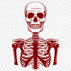 Skeleton In PDF For Download, Free Commercial Use