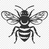 Stunning Bee Vector Illustration