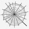 Beautiful Intricate Web Artwork A geometric design of a spider's intricate web made with lines and curves.