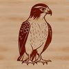 Silhouetted Falcon Cut File A detailed silhouette of a bird of prey, specifically a falcon, designed as a free downloadable SVG file.
