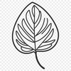 Beautiful SVG Illustration of a Single Leaf Vector illustration of a single green leaf with intricate details, suitable for graphic design projects.