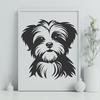 Stunning Morkie Vector Image