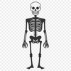 Skeleton In PDFs - Free Commercial Use License