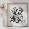 Creative Sitting Havanese PNG