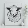 Creative Sheep In SVG