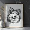 Shetland Sheepdog In PDF File Format