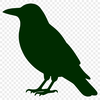 A detailed illustration of a crow perched on a branch, rendered in vector graphics.
