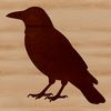 A detailed illustration of a crow bird in vector format.