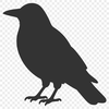 Vector illustration of a crow bird in silhouette form, suitable for cutting machine designs.