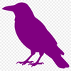 Illustration of a crow bird in vector format, suitable for commercial use and personal projects.
