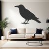 A black bird with a distinctive call and sleek feathers, commonly found in forests and woodlands.