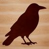 A detailed SVG illustration of a crow, a black bird known for its intelligence and distinctive call.