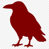 A black bird with glossy feathers and a sharp beak, in vector format for easy scaling and customization.