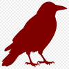 A detailed vector illustration of a crow in profile view.