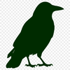Illustrative crow bird silhouette in vector format