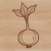 Beautiful Radish Root Vegetable Graphic A root vegetable illustration featuring a detailed radish design.