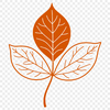 A detailed illustration of a leaf in vector format.