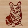 Friendly Sitting Dog Vector Image Illustration of a sitting Welsh Corgi dog breed