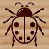 A simple line drawing of a cute ladybug insect.