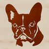 Unique Illustration of a French Bulldog's Face A close-up illustration of a French Bulldog's head with distinct facial features.