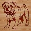 Adorable Free Vector Bulldog Image A standing bulldog sitting in front of a white background.