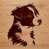A high-quality digital illustration of a young Australian Shepherd's head, suitable for various applications.