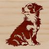Australian Shepherd Breed Profile A medium-sized dog breed with a distinctive coat pattern, sitting on its haunches.