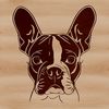 Sweet Facial Features Dog Breed Icon A Boston Terrier dog with a distinctive head shape and facial features.