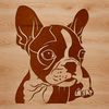 Cute Canine Head Vector A vector illustration of a Boston Terrier's head, suitable for digital designs and cutting machine templates.