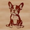 Free Vector Clipart of a Happy Puppy A close-up illustration of a sitting Boston Terrier with distinctive markings.