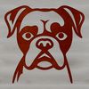 A vector illustration of a head-on view of a Boxer dog breed.