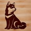 A sitting Japanese breed dog with fox-like features.