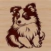 A small breed dog with a thick double coat and erect ears, sitting on its hind legs.