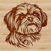 Adorable Canine Head Vector Art A simple illustration of a Shih Tzu's head, suitable as vector art for digital design and crafting projects.