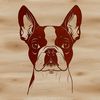 Adorable Boston Terrier Portrait SVG Boston Terrier head portrait in vector format, suitable for digital design and craft projects.