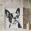 A detailed illustration of a Boston Terrier's head and facial features.