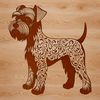 A standing miniature Schnauzer dog with an ornate coat pattern.